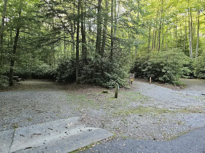 Beartree Campground Picture 8