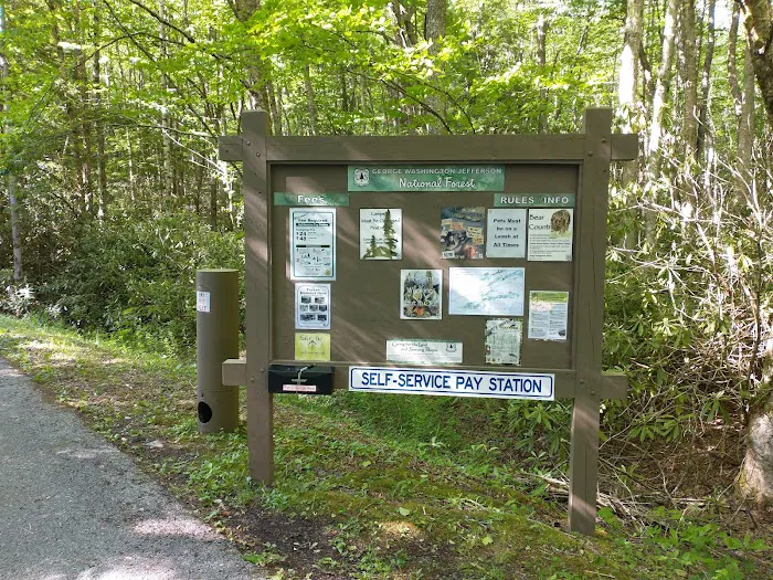 Beartree Campground Picture 5