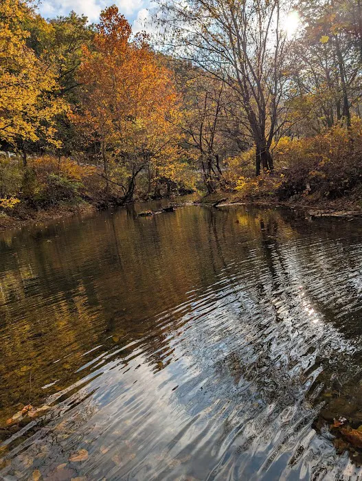 Lazy Acres Outpost Picture 6