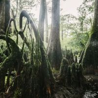 Hunts Bluff Campground ico