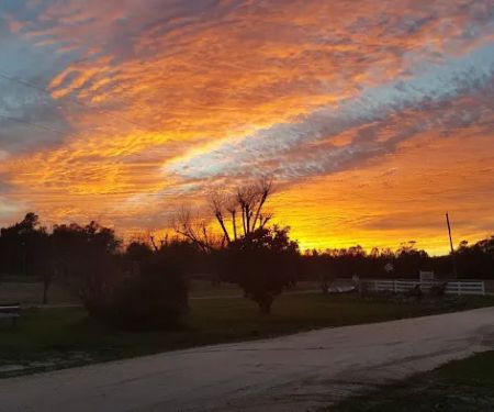 Horses To Harleys Campground