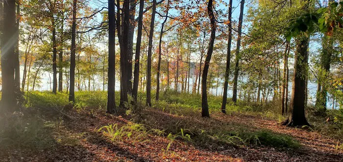 Rudds Creek Campground Picture 6