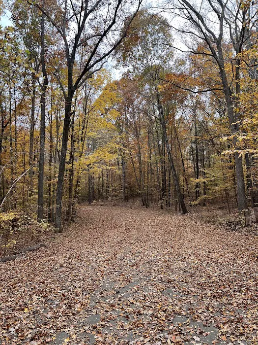 Kerr Lake Area 3 Picture 10