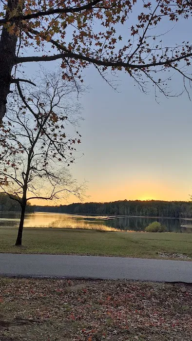 Kerr Lake Area 3 Picture 8