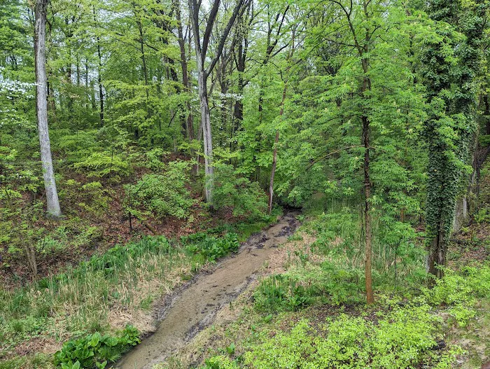 Camp Miakonda, Scouting America - Erie Shores Council Picture 7