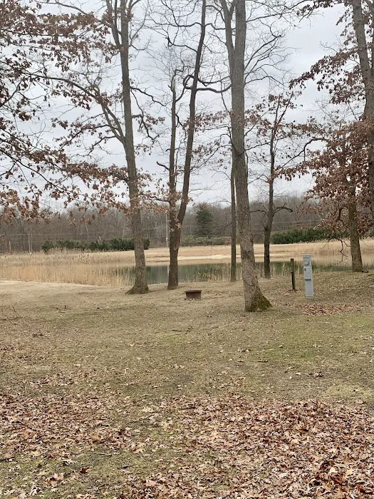 Superior Made RV Resort Picture 8