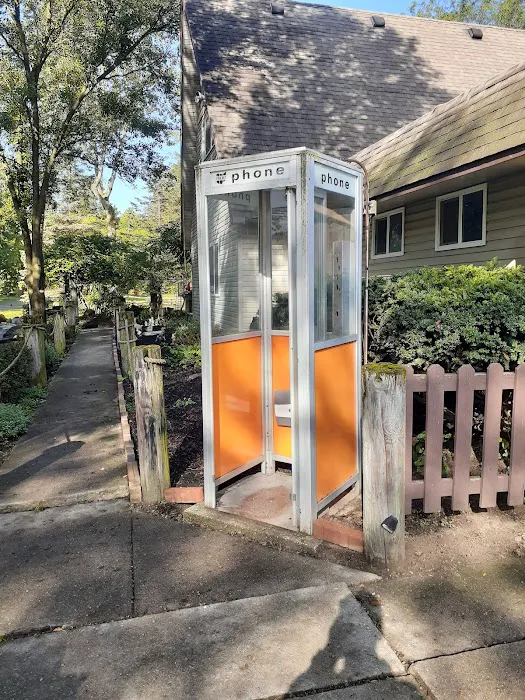 Big Sandy Campground Picture 5