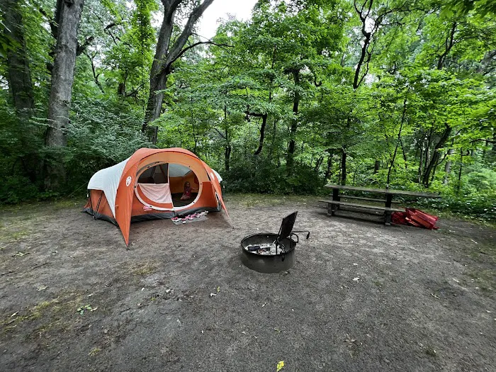 Oak Openings White Oak Campground Picture 5