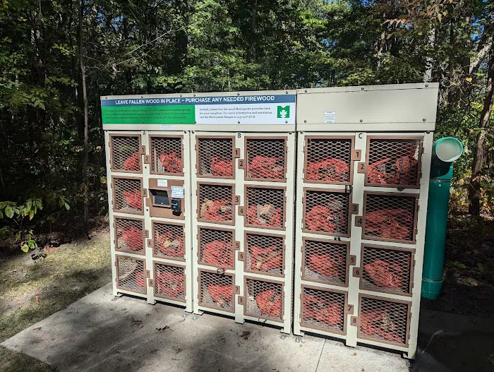 Oak Openings White Oak Campground Picture 2