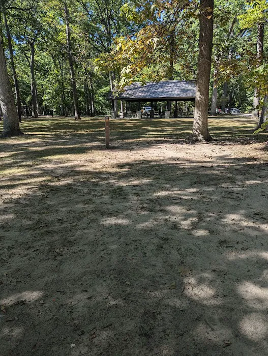 Oak Openings White Oak Campground Picture 4