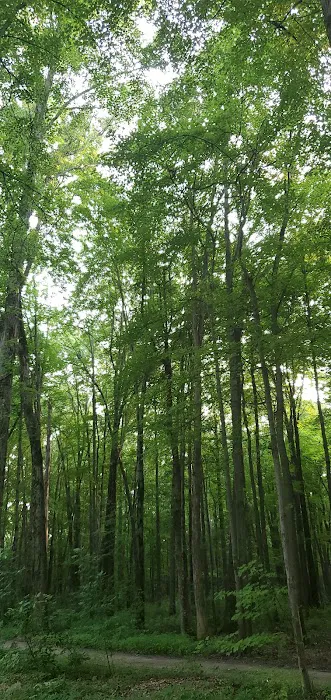 Twin Acres Campground Picture 8