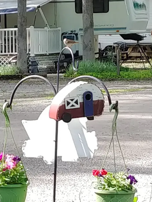 Twin Acres Campground Picture 5