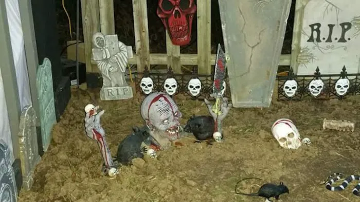 Robin's Nest Family Campground Picture 1