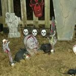 Robin's Nest Family Campground