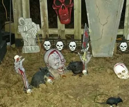 Robin's Nest Family Campground