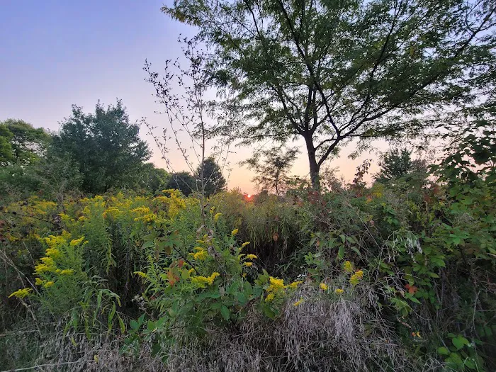 Ottawa Metro Park Campground Picture 9