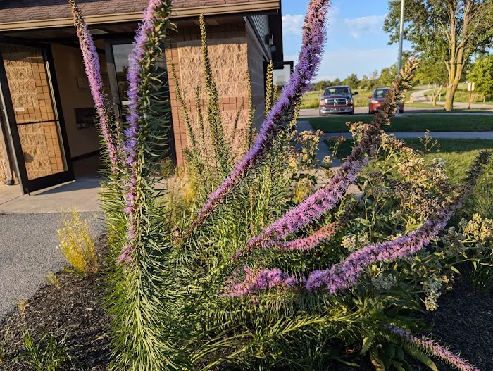 Ottawa Metro Park Campground Picture 4