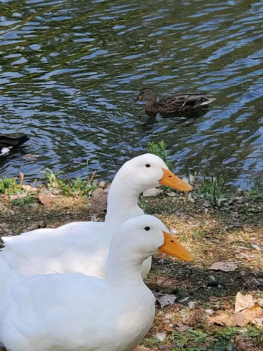 Sun Valley Family Campground Picture 8