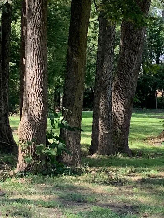 Paint creek Rv lots Picture 5