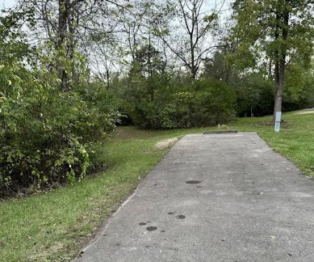 Campsite 158 (Electric Only)