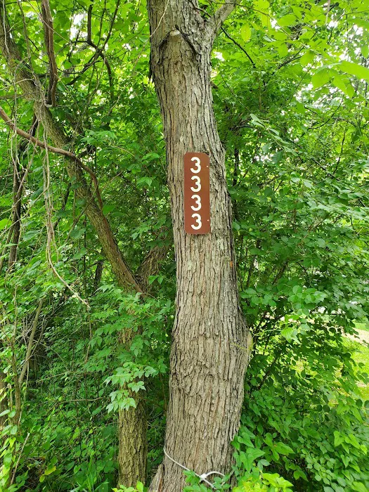 Tranquility Spring Campground Picture 2