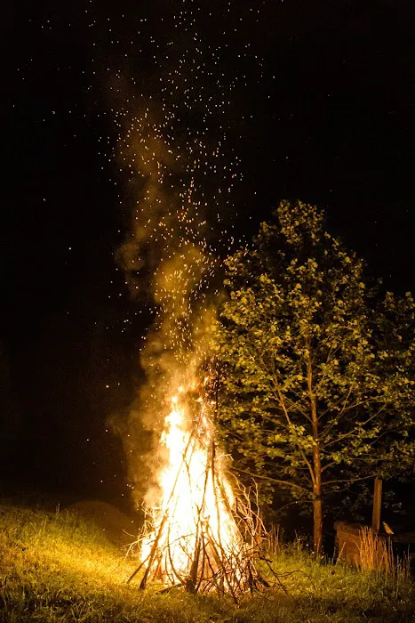 Home Afarm Picture 6