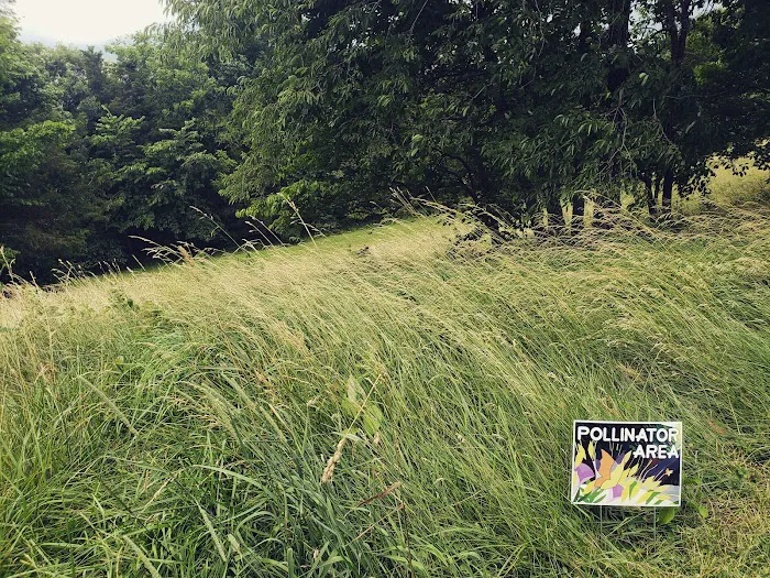 Home Afarm Picture 10