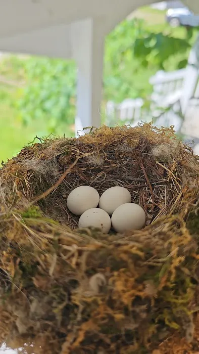 Home Afarm Picture 3