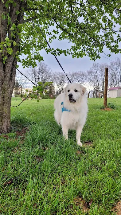 Home Afarm Picture 7