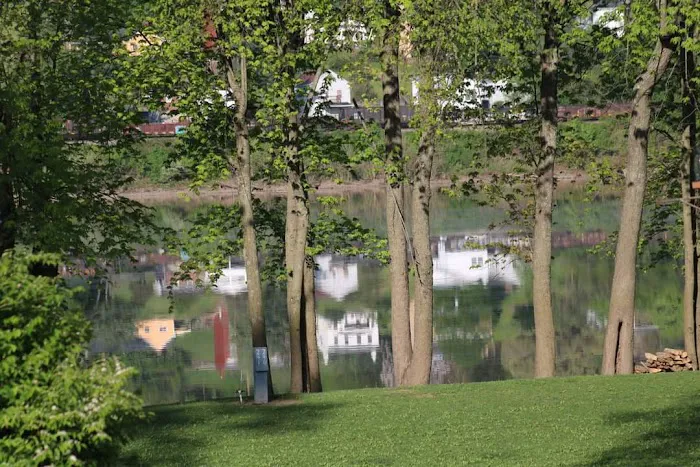 Lively Lady Landing Inc. Picture 4