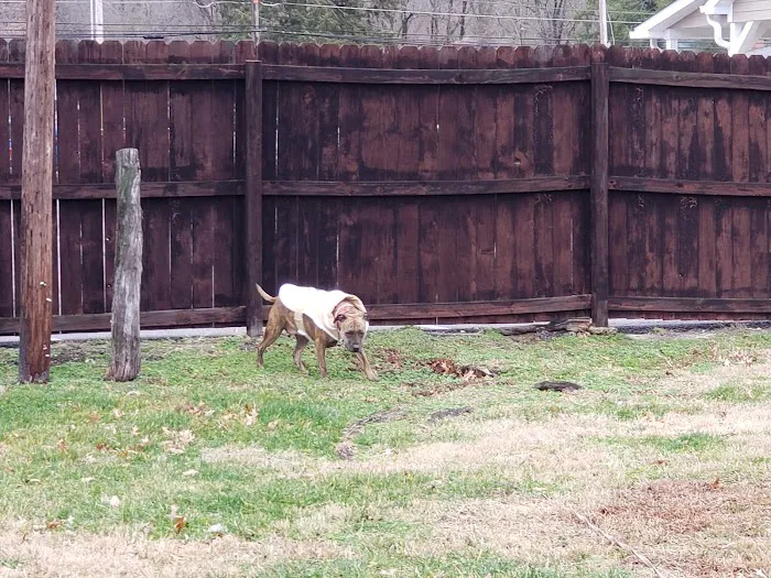 Lively Lady Landing Inc. Picture 10