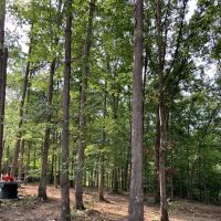 Charred Oak RV Park ico