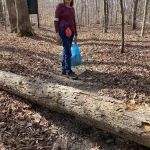 Boat Gunnel Group Campground