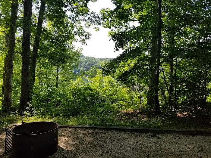 Boat Gunnel Group Campground Picture 5