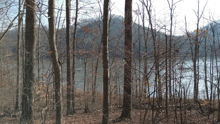 Boat Gunnel Group Campground Picture 9