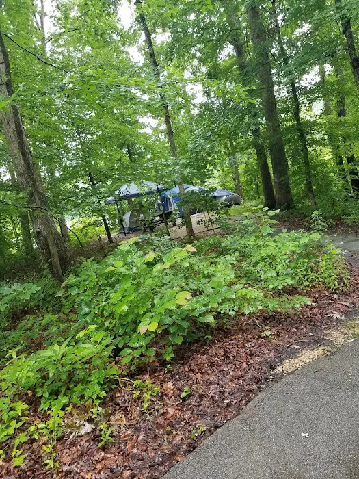 Boat Gunnel Group Campground Picture 10