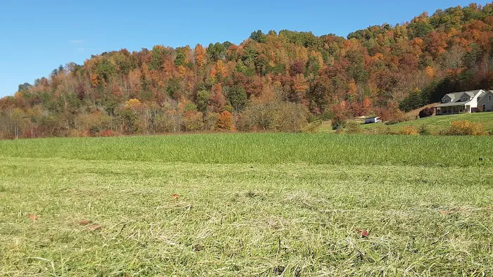 Apple Jack Creekside Camping Picture 1
