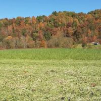 Apple Jack Creekside Camping ico