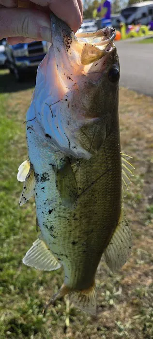 Rocky Fork State Park Campground Picture 1
