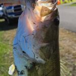 Rocky Fork State Park Campground