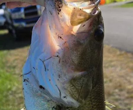 Rocky Fork State Park Campground