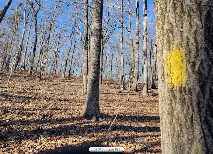 Yates Place Campground Picture 8