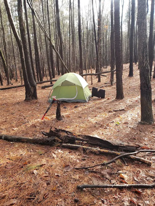 Yates Place Campground Picture 5