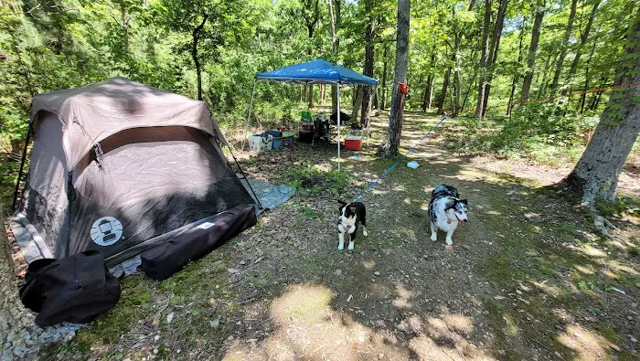 Art Lilley Campground Picture 7
