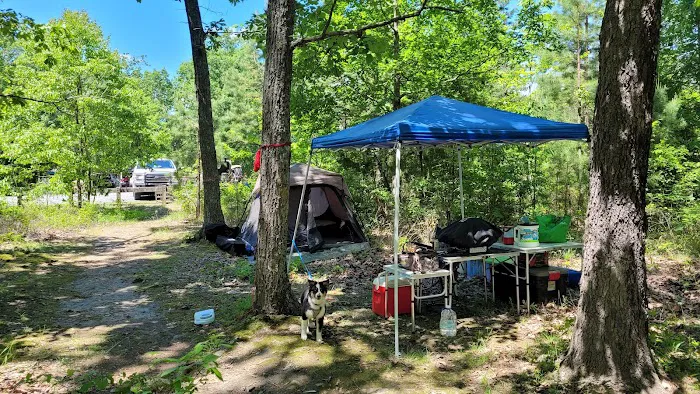 Art Lilley Campground Picture 6