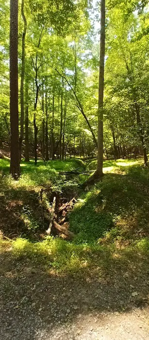 Morrow Mountain Group Camp Picture 2