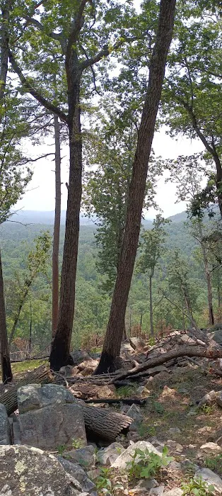 Morrow Mountain Group Camp Picture 3