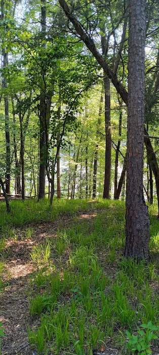 Morrow Mountain Group Camp Picture 6