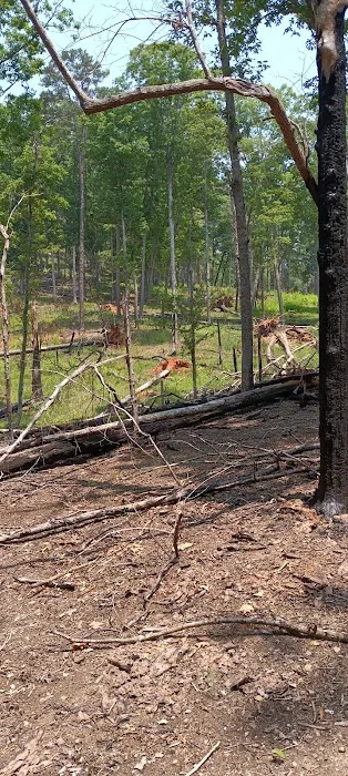 Morrow Mountain Group Camp Picture 7