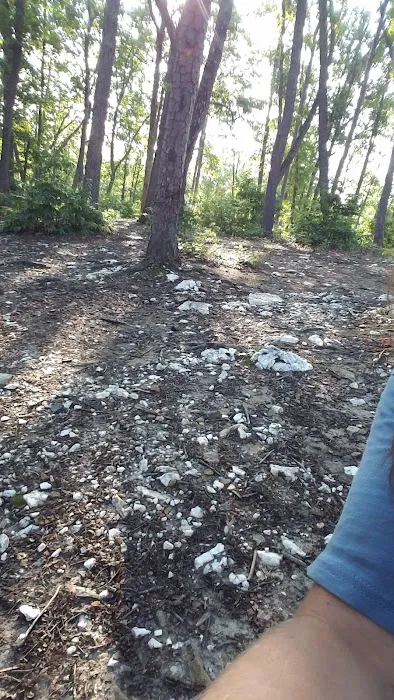 Deep Water Trail Camp Picture 7